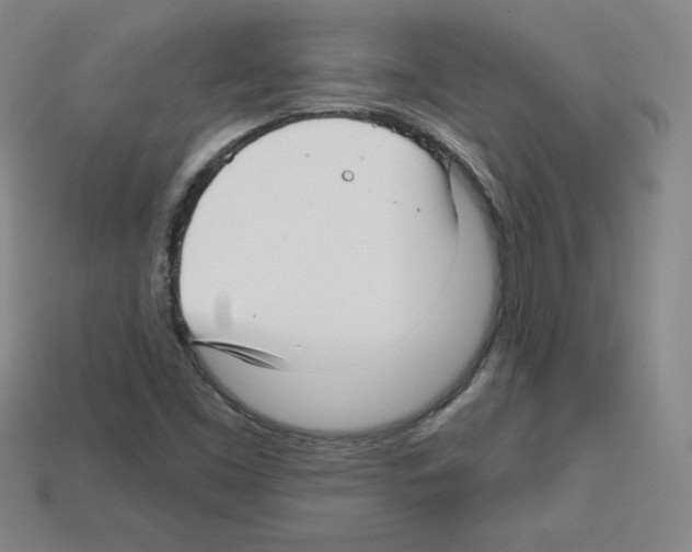 X0000112761453200910011206