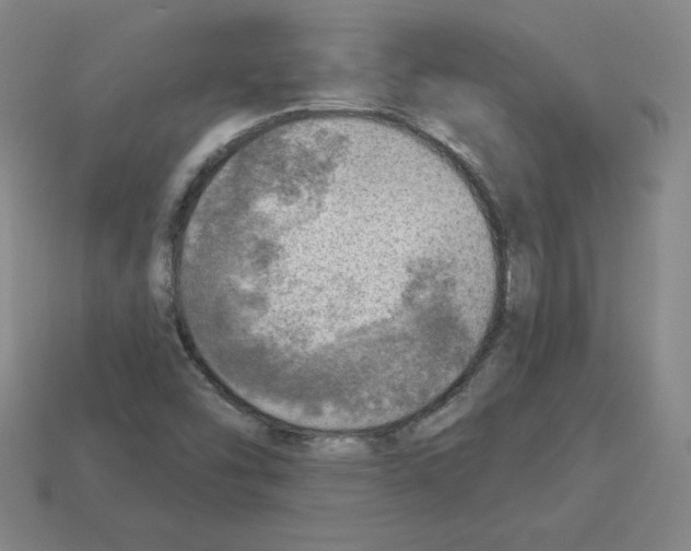 X0000112761454200910011206