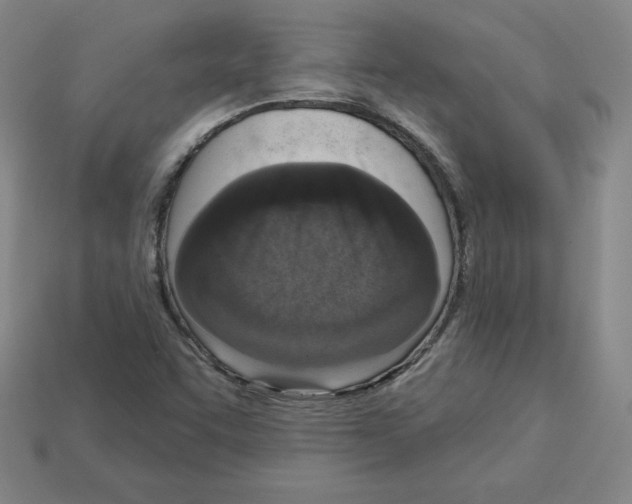 X0000112761455200910011206
