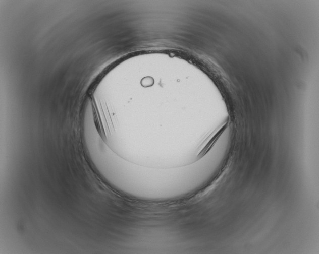 X0000112761457200910011206