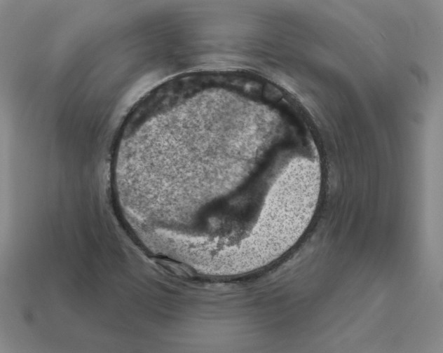 X0000112761459200910011206