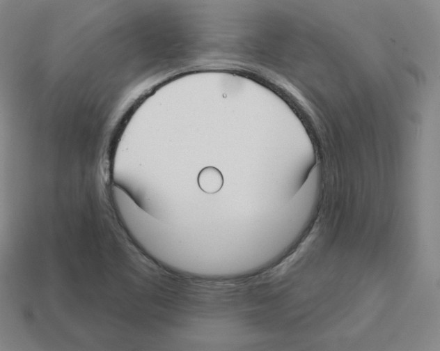 X0000112761461200910011206