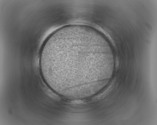 X0000112761462200910011206