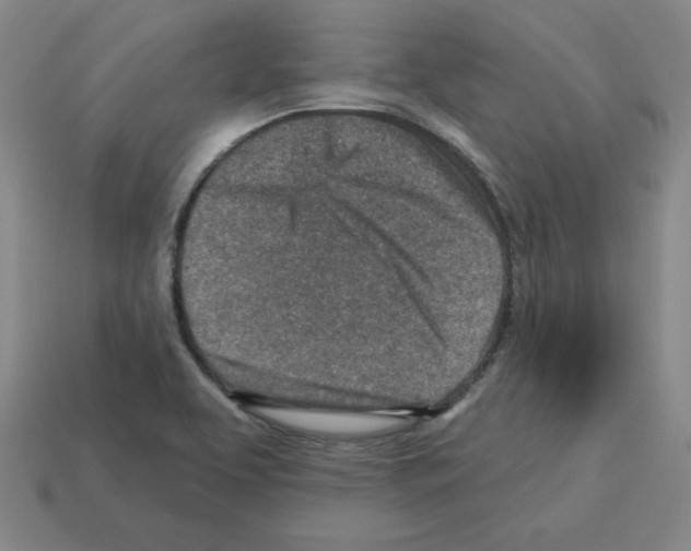 X0000112761463200910011206