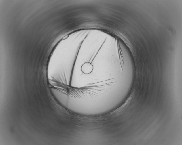 X0000112761465200910011205