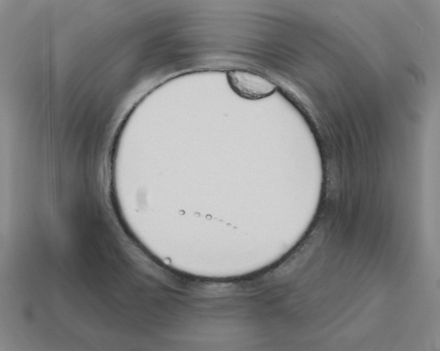 X0000112761467200910011205