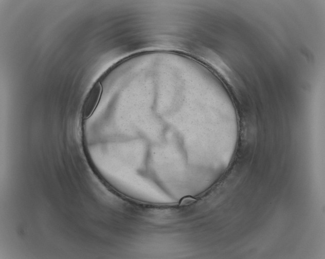 X0000112761468200910011205