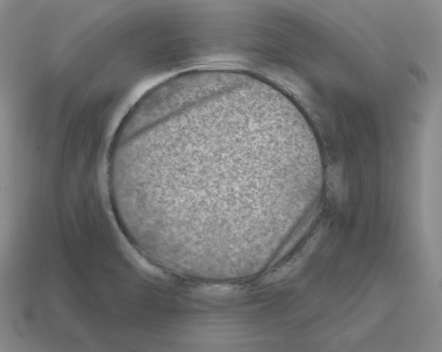 X0000112761470200910011205