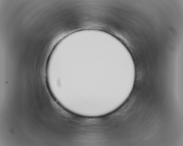 X0000112761471200910011205