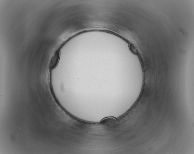 X0000112761472200910011205