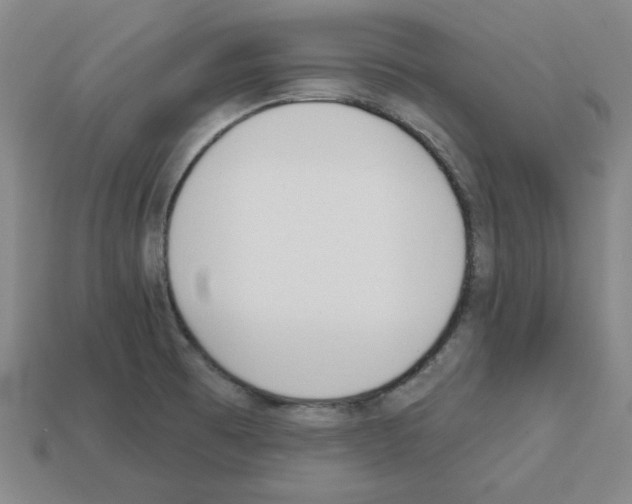 X0000112761473200910011205
