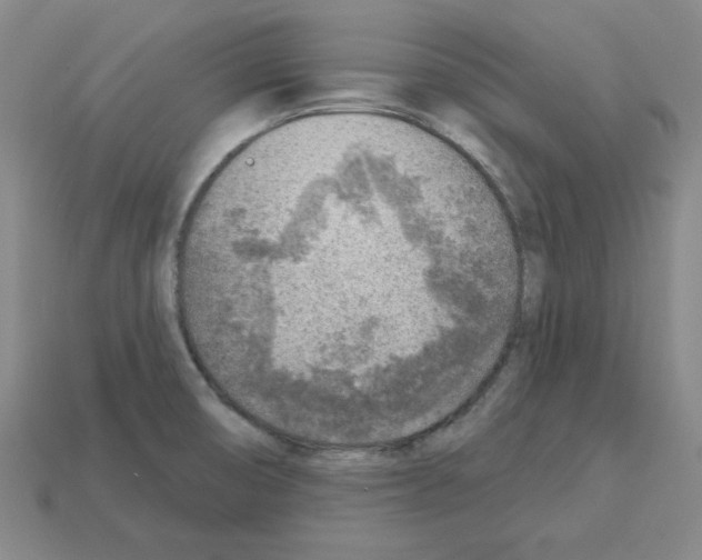 X0000112761474200910011205