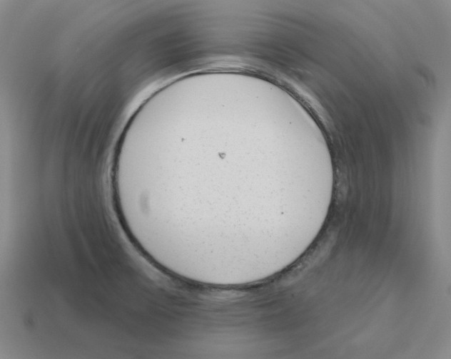 X0000112761475200910011205