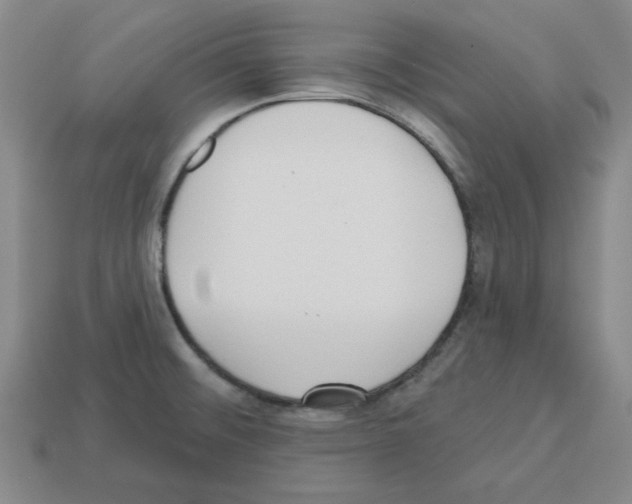 X0000112761476200910011205