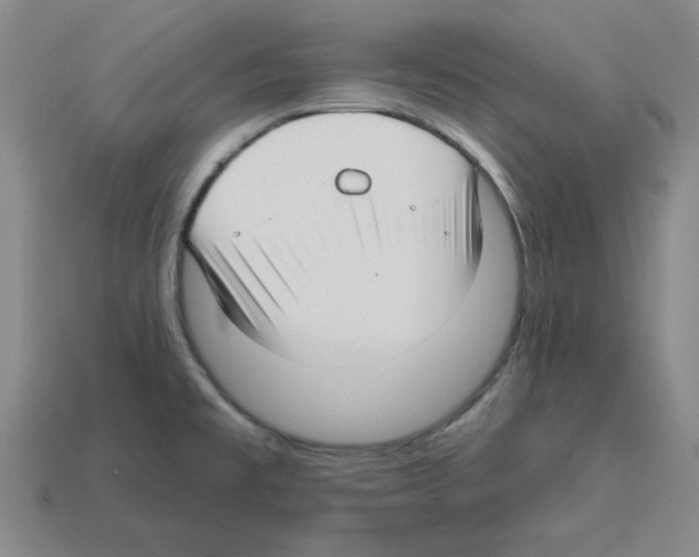 X0000112761477200910011205