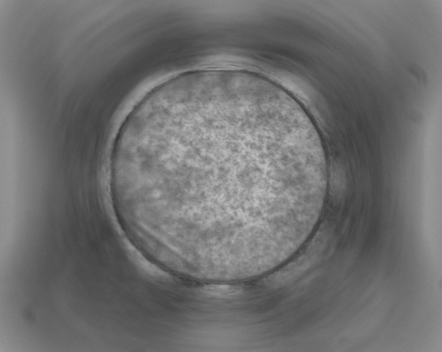 X0000112761478200910011205