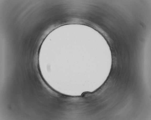 X0000112761479200910011205