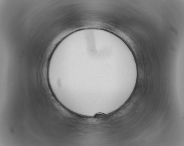 X0000112761480200910011205