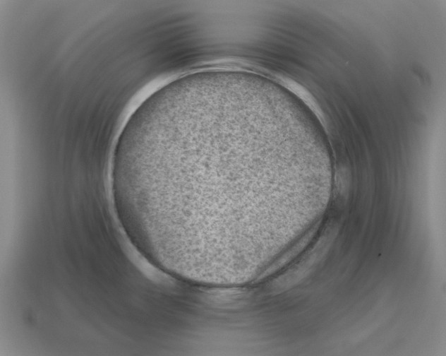 X0000112761482200910011205