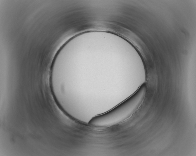 X0000112761484200910011205