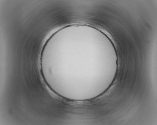X0000112761485200910011205