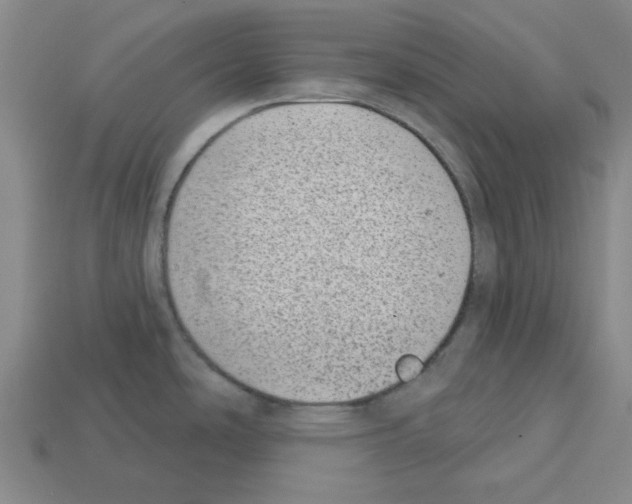 X0000112761486200910011205
