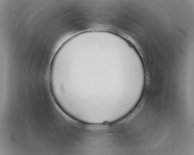 X0000112761487200910011205