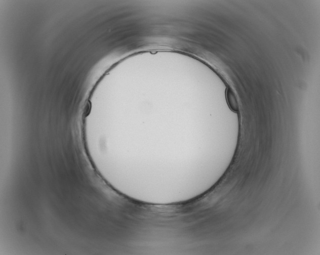 X0000112761488200910011205