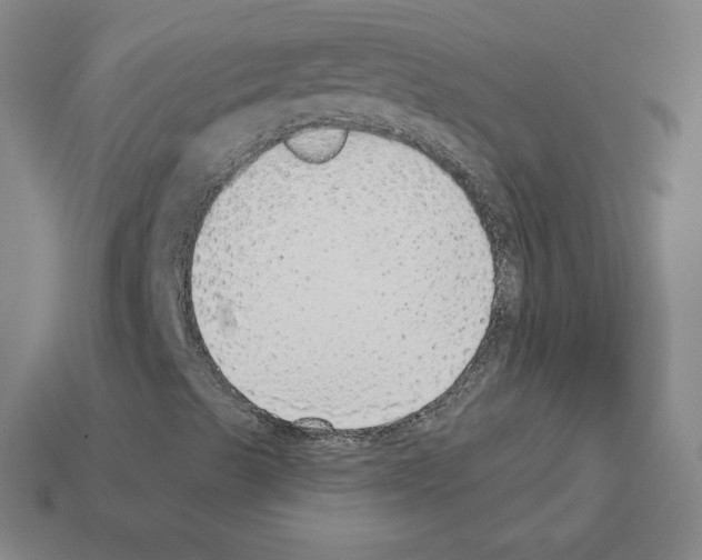 X0000112761489200910011205