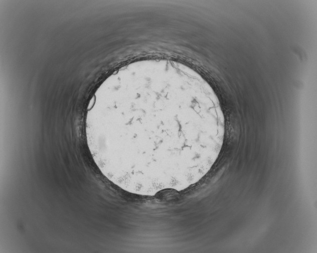 X0000112761490200910011205