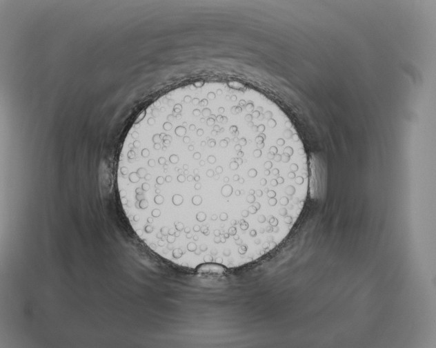 X0000112761491200910011205