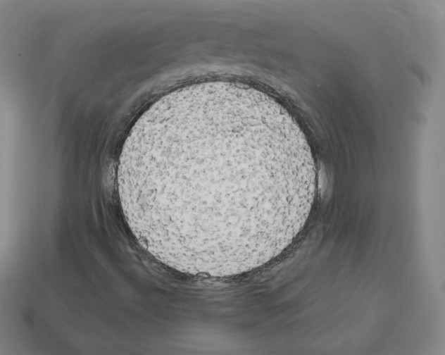 X0000112761492200910011205