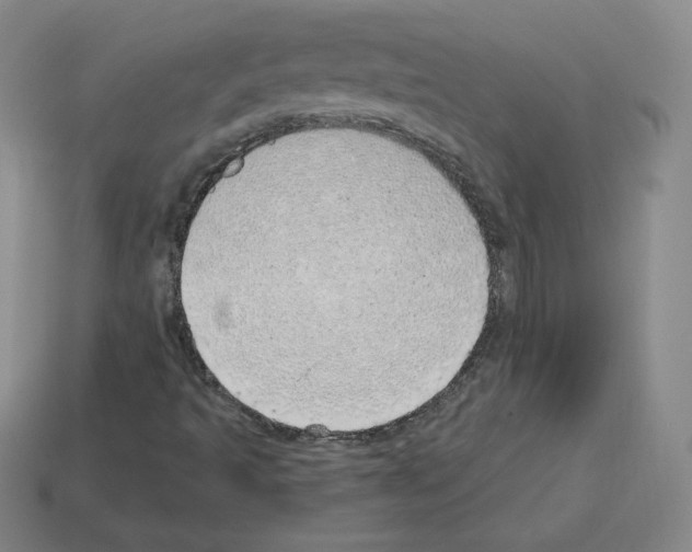 X0000112761493200910011205