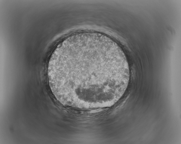 X0000112761494200910011205