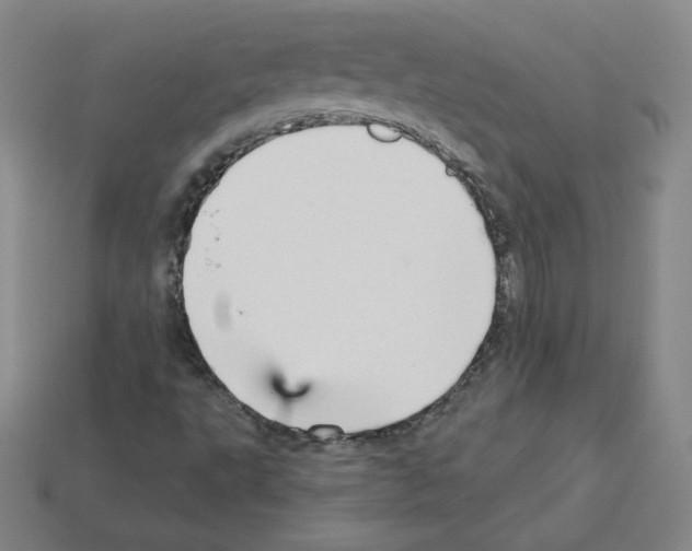 X0000112761495200910011205