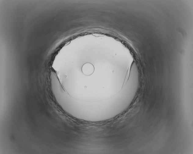 X0000112761496200910011205