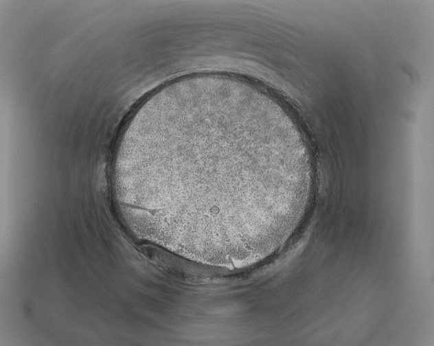 X0000112761497200910011205