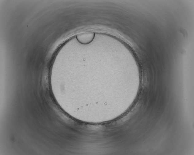 X0000112761498200910011205