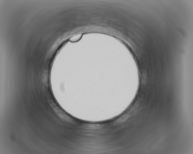 X0000112761499200910011205