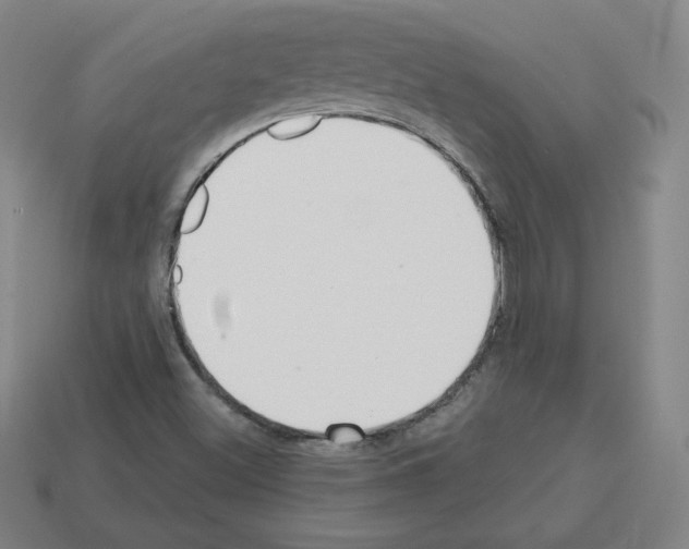 X0000112761500200910011205