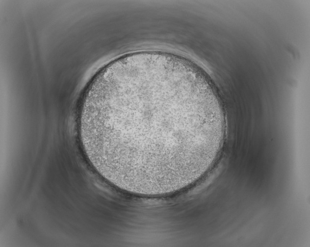 X0000112761501200910011205