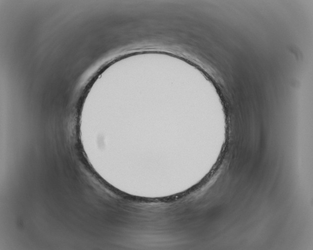 X0000112761502200910011205