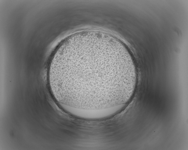 X0000112761503200910011205