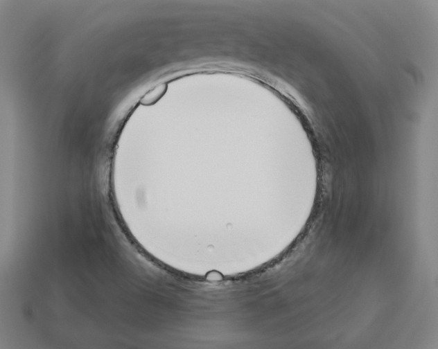 X0000112761504200910011205