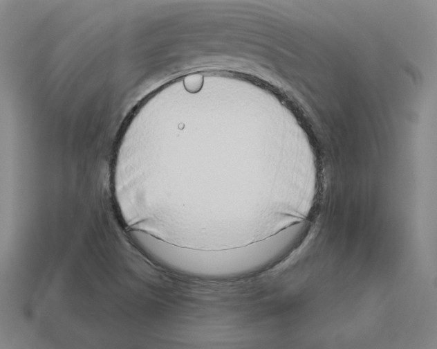 X0000112761505200910011205