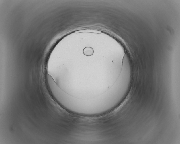 X0000112761506200910011205