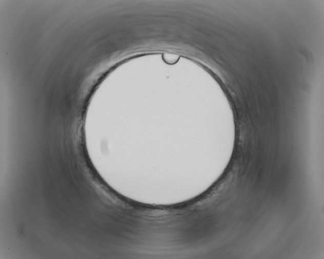 X0000112761507200910011205