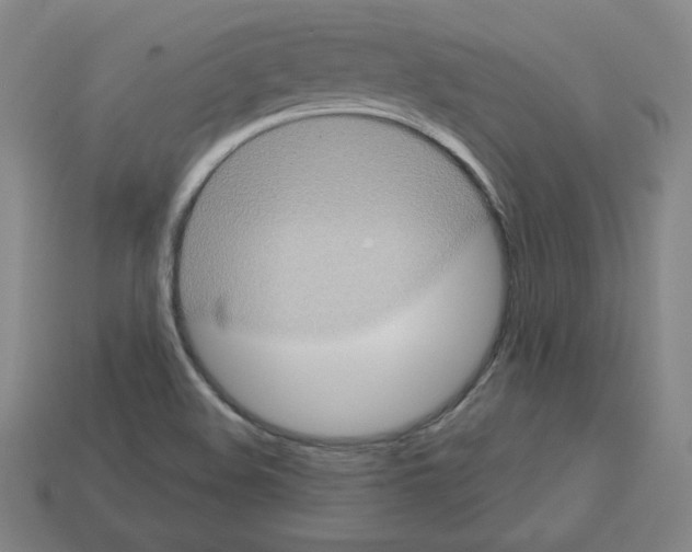 X0000112761508200910011205