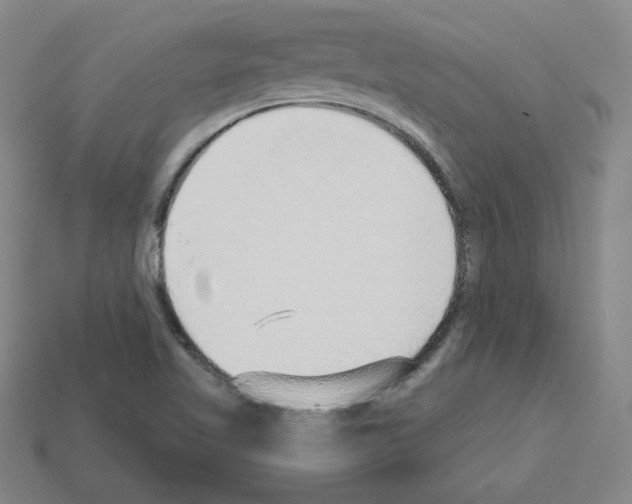 X0000112761509200910011205