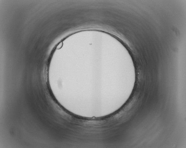 X0000112761510200910011205